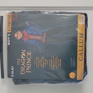 Prince Dragon costume